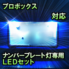 LEDナンバープレート用ランプ　トヨタ　プロボックス　対応　セット